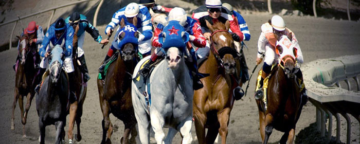 California State Fair Racing